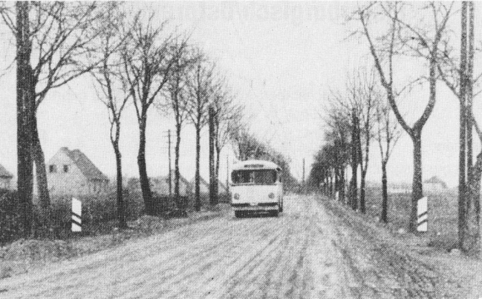 Trolleybus, Insterburg