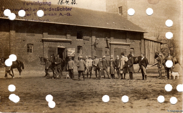 Vereinigung ostpreussischer Pferdezüchter Insterburger Tattersall A.-G., Insterburg