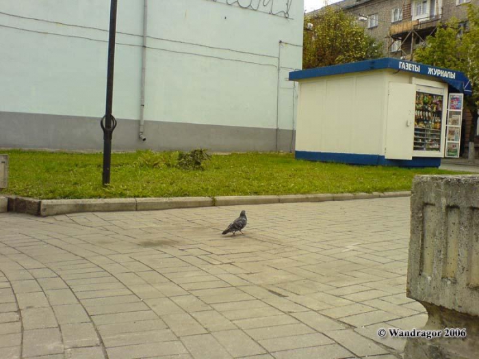 Рядом с отелем «Кочар» (улица Ленина), Черняховск