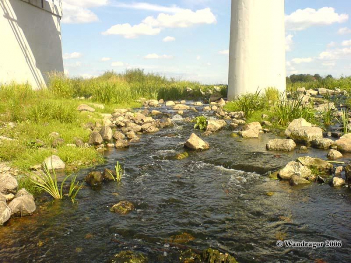 Река Инструч (рядом с железнодорожным мостом), Черняховск