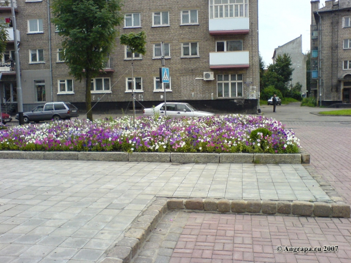 Клумба рядом с памятником Барклаю-де-Толли, Черняховск