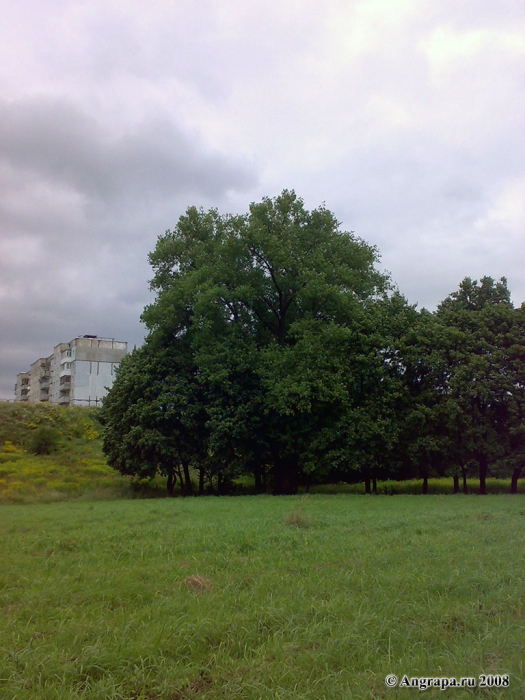 У реки Анграпа (рядом с городским пляжем), Черняховск