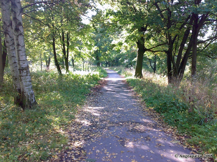 Пешеходная дорожка в Парке Победы, Черняховск