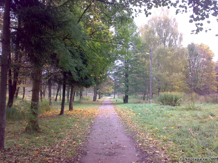 Пешеходная дорожка в Парке Победы, Черняховск