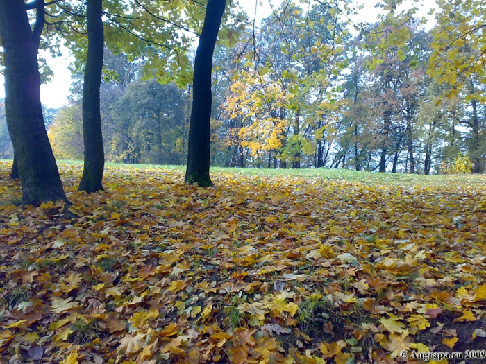 Парк рядом с памятником воинам, погибшим в боях у Инстербурга, Черняховск