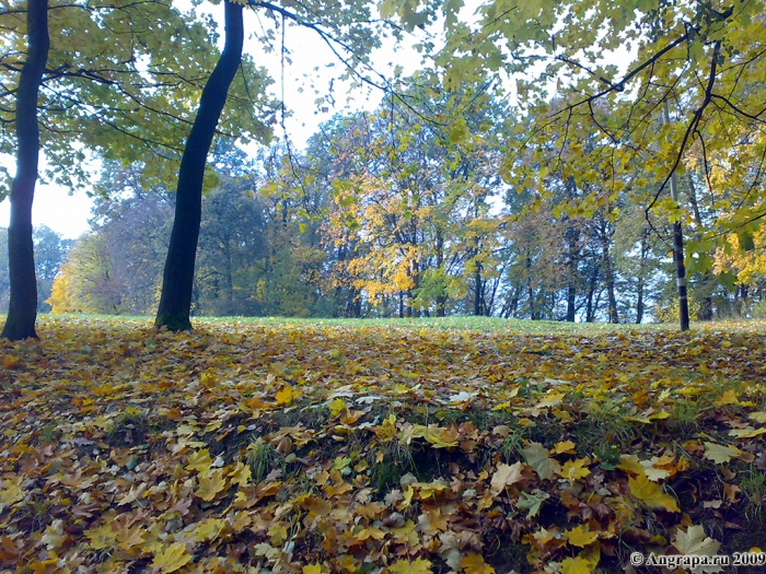 Парк рядом с памятником воинам, погибшим в боях у Инстербурга, Черняховск