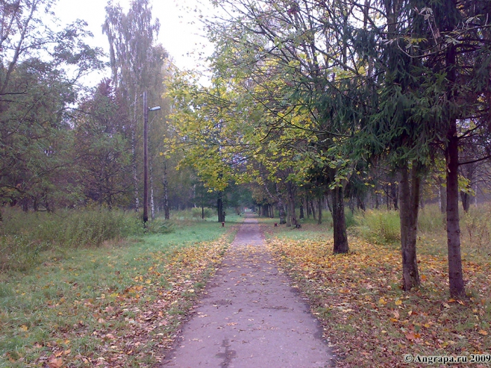 Пешеходная дорожка в Парке Победы, Черняховск