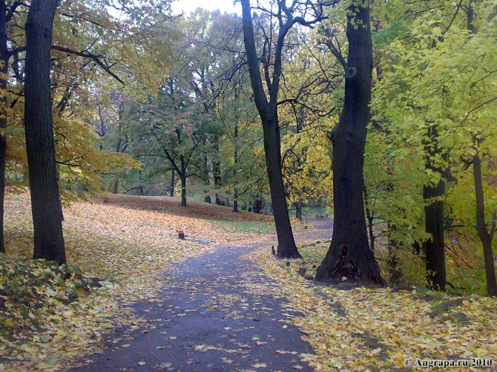 Улица Театральная, Черняховск