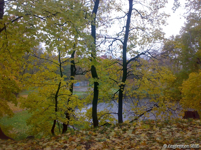 Городской парк, Черняховск