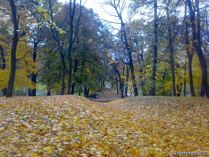 Городской парк, Черняховск