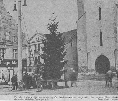 У Лютеркирхи была установлена большая рождественская ель, которая придавала нашей Альтер Маркт рождественский вид