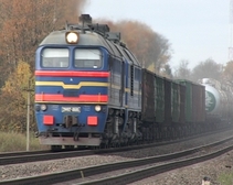 В Черняховском районе товарный поезд «врезался» в стадо коров