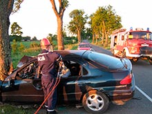 В Черняховском районе «Форд» врезался в дерево, два человека погибли