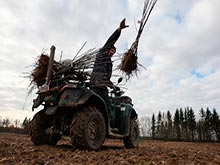 В Черняховском районе заложен первый промышленный сад