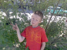 Полицией Черняховска разыскивается попавший без вести 14-летний Артём Новосёлов