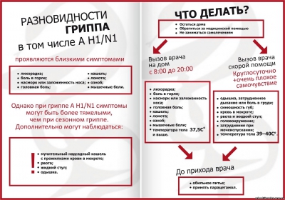 Краткая информация по вирусу гриппа